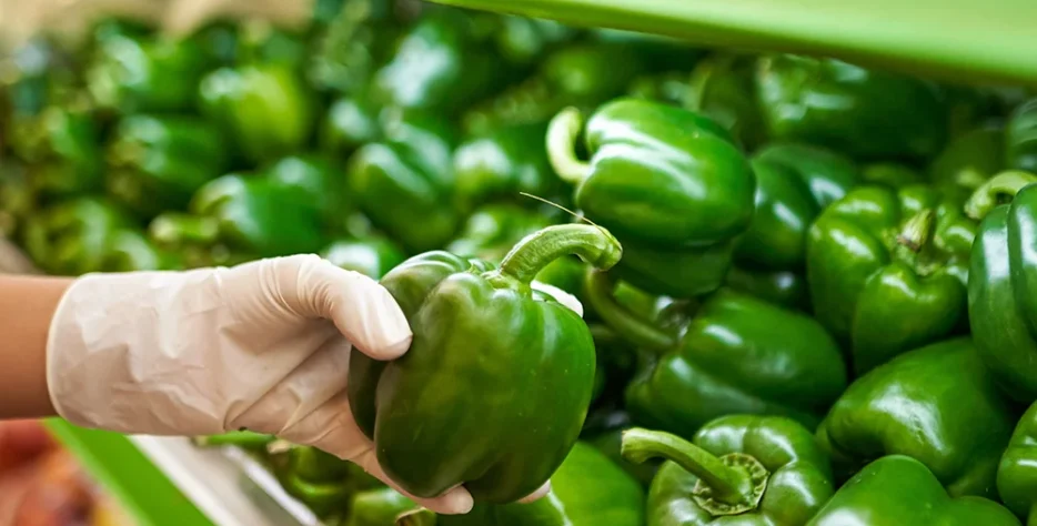 Wendell Berry said it best when he said that “eating is an agricultural act.” Our mission is to change the food system by providing a healthy, fresh alternative to industrial food.